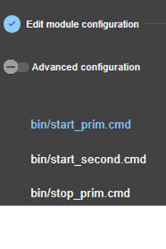 SafeKit web console image
Edit start_prim script of a mirror module, using module configuration wizard